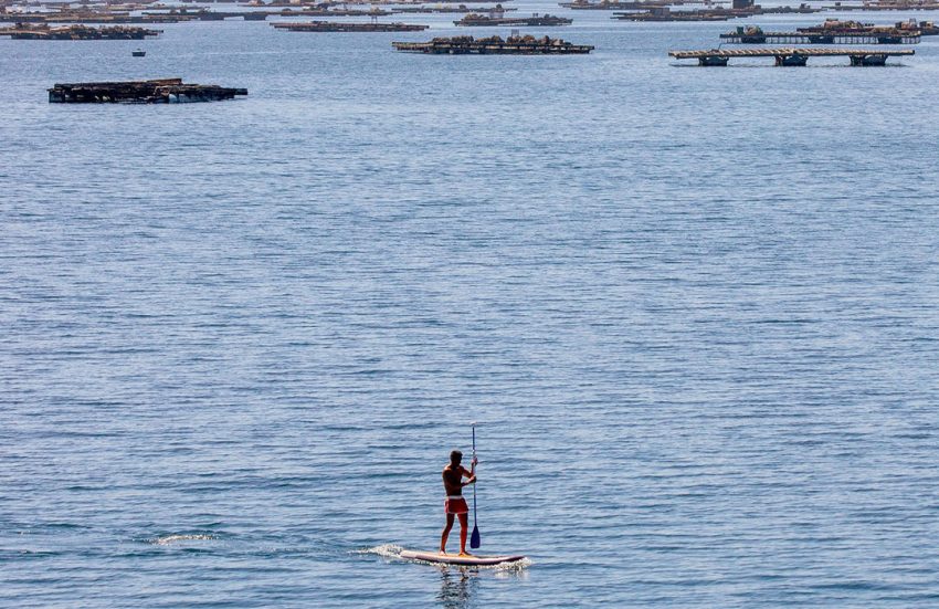 Paddle Surf.